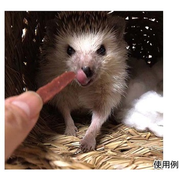 小動物のやみつきコオロギ 25g ドギーマン