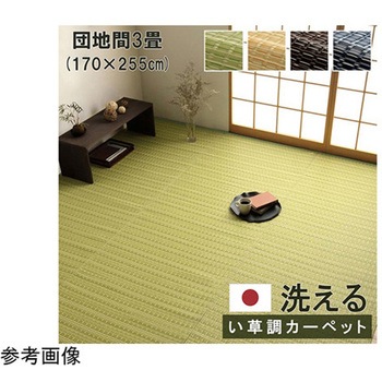 洗える カーペット ラグ 国産 除菌スプレー対応 アウトドア ペット イケヒコ・コーポレーション