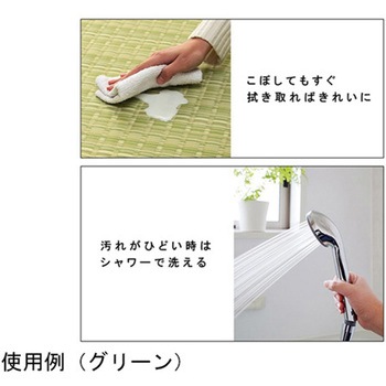 洗える カーペット ラグ 国産 除菌スプレー対応 アウトドア ペット イケヒコ・コーポレーション