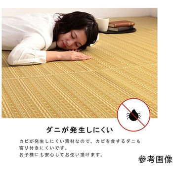 洗える カーペット ラグ 国産 除菌スプレー対応 アウトドア ペット イケヒコ・コーポレーション