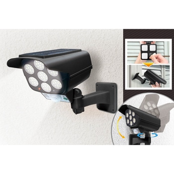 H4973 \[[[dZT[Ahƃ_~[J GsIX 68703516