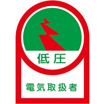 ヘルメットステッカー EA983ANシリーズ エスコ