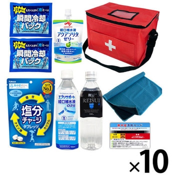 10003207RD �M���Ǒ΍�L�b�g EVERSAFE 68714786