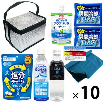 10002992 �M���Ǒ΍�L�b�g EVERSAFE 68714795