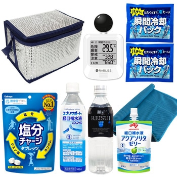 10002993 �M���Ǒ΍�L�b�g EVERSAFE �V���o�[�F 68714829