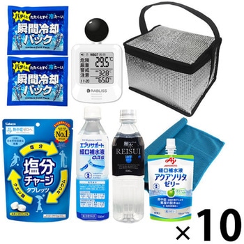 10002994 �M���Ǒ΍�L�b�g EVERSAFE �V���o�[�F 68714838