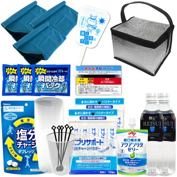 10003271 �M���Ǒ΍�L�b�g �c�̌��� EVERSAFE �V���o�[�F 68714969