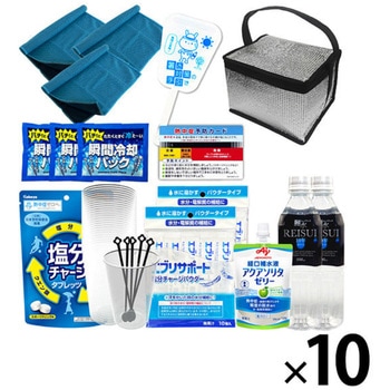 10003272 �M���Ǒ΍�L�b�g �c�̌��� EVERSAFE �V���o�[�F 68714978