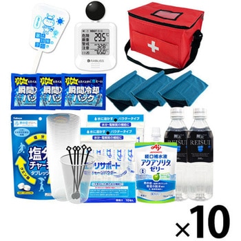 10003240RD 熱中症対策キット 団体向け EVERSAFE 68714996