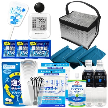 10003273 �M���Ǒ΍�L�b�g �c�̌��� EVERSAFE �V���o�[�F 68715005