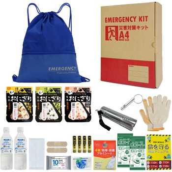 10008155BL A4�h�ЃZ�b�g ��{���e�{�b�N�X1 A4K1 EVERSAFE �u���[�F   10008155BL 68715310