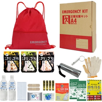 10008155RD A4�h�ЃZ�b�g ��{���e�{�b�N�X1 A4K1 EVERSAFE ���b�h�F   10008155RD 68715328