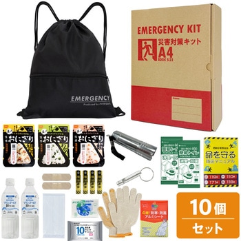 10002917BK A4�h�ЃZ�b�g ��{���e�{�b�N�X1 A4K1 EVERSAFE �u���b�N�F   10002917BK 68715346