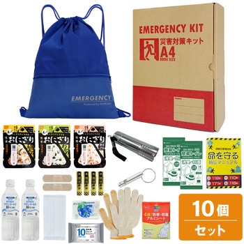 10002917BL A4�h�ЃZ�b�g ��{���e�{�b�N�X1 A4K1 EVERSAFE �u���[�F   10002917BL 68715355