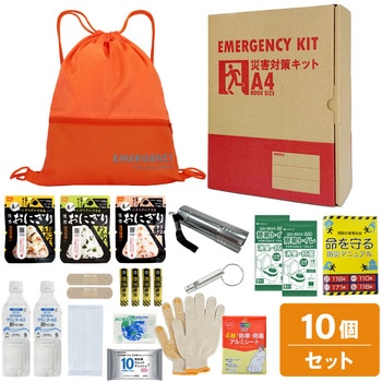 10002917OR A4�h�ЃZ�b�g ��{���e�{�b�N�X1 A4K1 EVERSAFE �I�����W�F   10002917OR 68715371