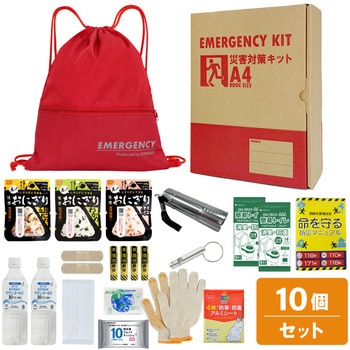 10002917RD A4�h�ЃZ�b�g ��{���e�{�b�N�X1 A4K1 EVERSAFE ���b�h�F   10002917RD 68715380