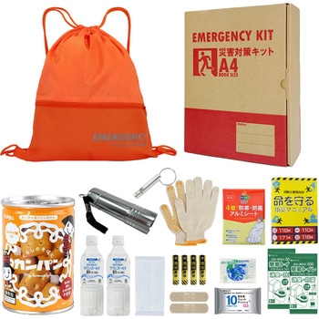 10002228OR A4�h�ЃZ�b�g ��{���e�{�b�N�X2 A4K2 EVERSAFE �I�����W�F   10002228OR 68715416