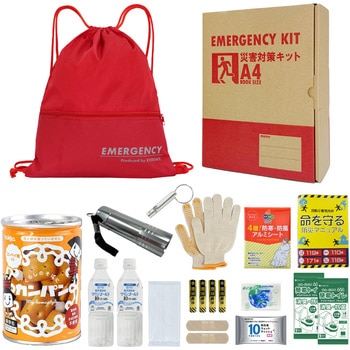 10002228RD A4�h�ЃZ�b�g ��{���e�{�b�N�X2 A4K2 EVERSAFE ���b�h�F   10002228RD 68715425