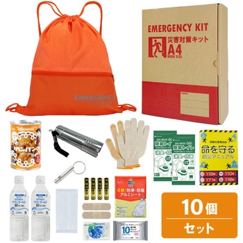 10002918OR A4�h�ЃZ�b�g ��{���e�{�b�N�X2 A4K2 EVERSAFE �I�����W�F   10002918OR 68715468