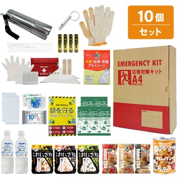 10002919 29�_A4�h�ЃZ�b�g A4TN EVERSAFE 68715511