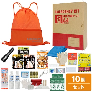 10002921OR �[��A4�h�ЃZ�b�g �v���X A4J1 EVERSAFE �I�����W�F   10002921OR 68715608