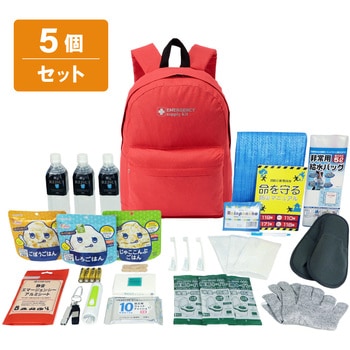 10003334RD 30�_�h�ЃZ�b�g EVERSAFE �l��1�l 68716046