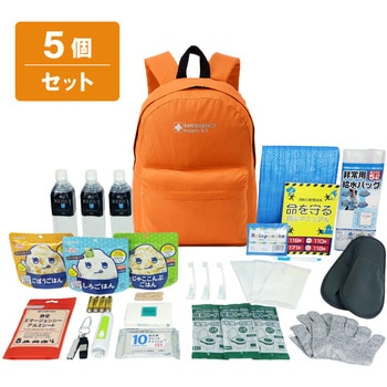 10003334OR 30�_�h�ЃZ�b�g EVERSAFE �l��1�l 68716055