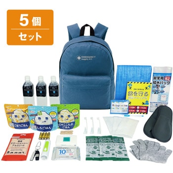 10003334NA 30�_�h�ЃZ�b�g EVERSAFE �l��1�l 68716071