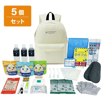 10003334BE 30点防災セット EVERSAFE 68716080