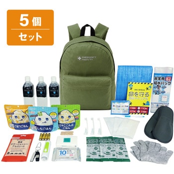 10003334GR 30�_�h�ЃZ�b�g EVERSAFE �l��1�l 68716107