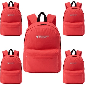 10003342RD EVERSAFE �G�}�[�W�F���V�[�����b�N EVERSAFE 68716491