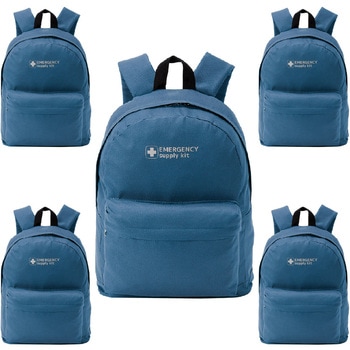 10003342NA EVERSAFE �G�}�[�W�F���V�[�����b�N EVERSAFE 68716509