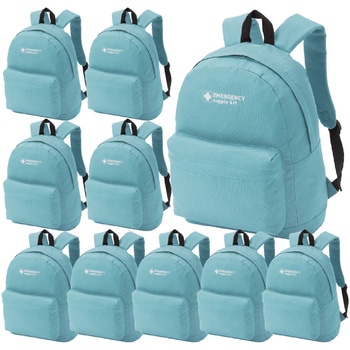 10003343SB EVERSAFE �G�}�[�W�F���V�[�����b�N EVERSAFE 68716615