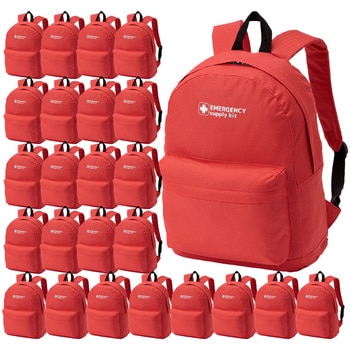 10003344RD EVERSAFE �G�}�[�W�F���V�[�����b�N EVERSAFE 68716667