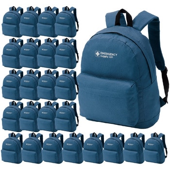 10003344NA EVERSAFE �G�}�[�W�F���V�[�����b�N EVERSAFE 68716685