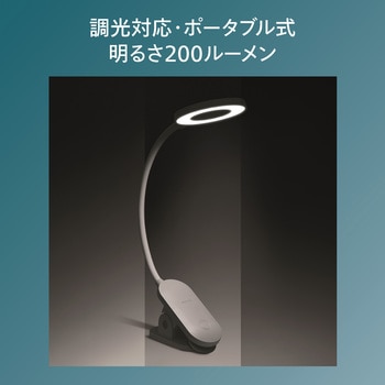 クリップ式モデル フィリップス