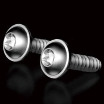 RiLineX 固定ねじ 50個入 リタール