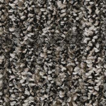 NTH-71306 NT700 �J�[�y�b�g�^�C�� NTH-7130 D-eco  �_���K���[�E�V�F�C�N�E�N���t�gD �T���Q�c 68735111