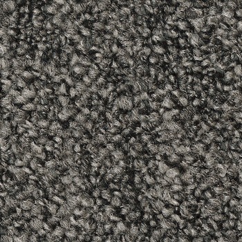 NTP-71117 NT700 �J�[�y�b�g�^�C�� NTP7110 D-eco �~�b�N�X�v���[��D �T���Q�c ����6.5mm 1�� 68736197