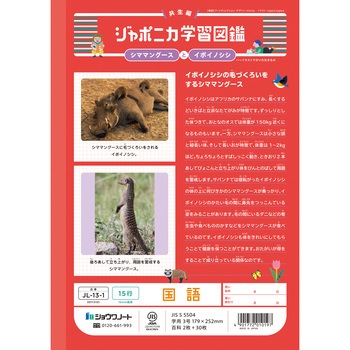 ジャポニカ学習帳 B5 国語 ショウワノート