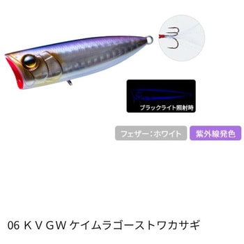 06 KVGW �P�C�����S�[�X�g���J�T�M(571563) ���g�D�[�� �|�b�v 70F �f���G�� �t���[�e�B���O�^�C�v 68742987