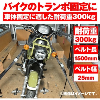 タイダウンベルト カムバックル式 DAYTONA(デイトナ)