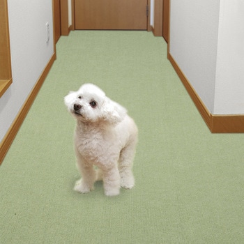 ペット用床保護マット - サンコー