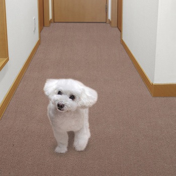 ペット用床保護マット サンコー