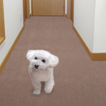 ペット用床保護マット サンコー