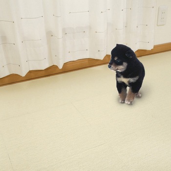 撥水タイルマット サンコー
