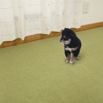 ペット用撥水タイルマット サンコー