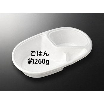 CFカレー 身 中央化学