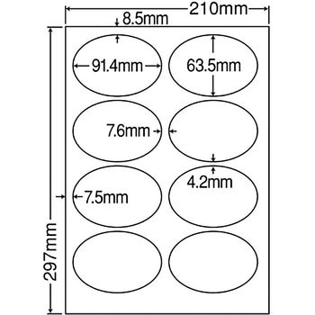 SCL-20 �J���[���[�U�[�v�����^�p���򃉃x�� nana(���m���) 8�� �ȉ~ �V�[�g�T�C�YA4  SCL-20 68774396