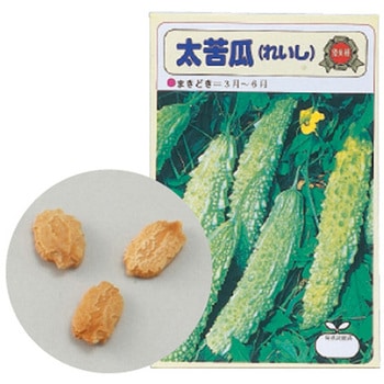 野菜の種 ツルレイシ 苦瓜 アーテック